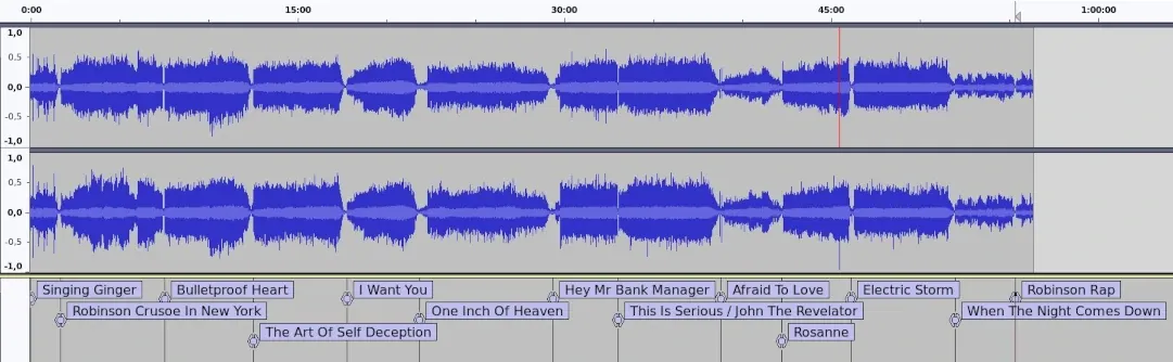 Localizaremos cada pista y la etiquetaremos Etiquetar pistas